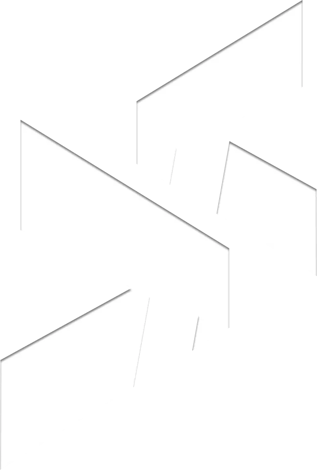 Desarrollador Web