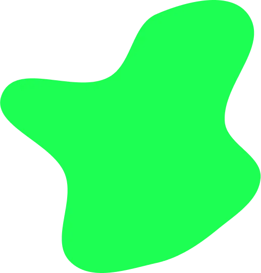 imageVector